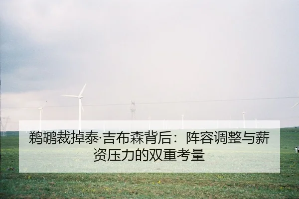鹈鹕裁掉泰·吉布森背后:阵容调整与薪资压力的双重考量
